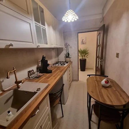Ultracentral Classic Vibe Apartment Craiova