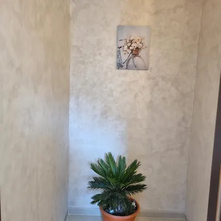 Ultracentral Classic Vibe