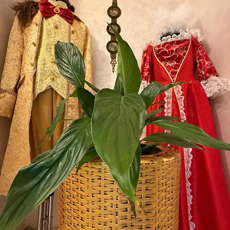 Ultracentral Classic Vibe 公寓 克拉奥华