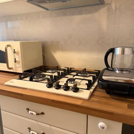 Ultracentral Classic Vibe Apartment *