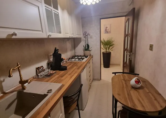 Ultracentral Classic Vibe Apartman Craiova