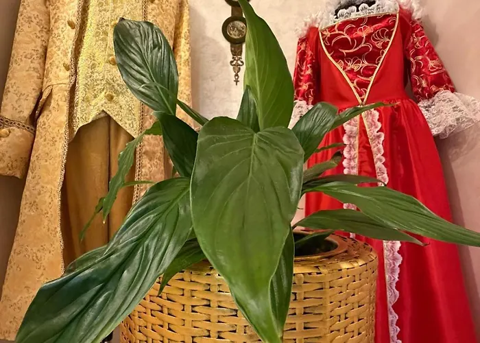 Ultracentral Classic Vibe Apartman Craiova