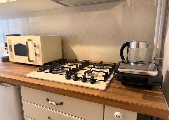 Ultracentral Classic Vibe Apartman *